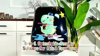 Advwin 4-in-1 Detachable Scooter Luggage for Kids