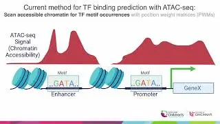 maxATAC: Predicting Transcription Factor Binding... - Tareian Cazares - MLCSB - Poster - ISMB 2022