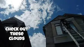 Window Cleaning Zen Cloud Short