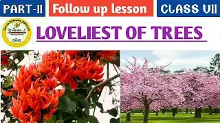 Loveliest of trees Class 7 English With full Explanation & questions answer discussion by Tapan Sir