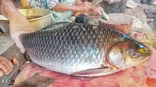 Incredible Precision Rohu Fish Cutting Skills \ Expert Techniques for Flawless Fillets