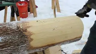 Removing the bark from the trees.