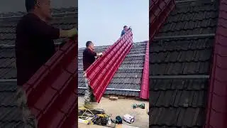 Color steel roofing sheet supplier. Color steel sheet price. PPGI sheet wholesale #roofing #wall