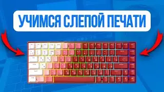 Учимся слепой печати &mdash; простой путь с CodeWar