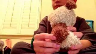 Beanie Boo Review: Rootbeer!!!