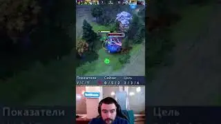 МАЛЕНЬКИЙ УСАТЫЙ ГЕНИЙ #stray #stray228 #vovapain  #dota #dota2 #ramzes #ybn #будка #влог #dkfogas1