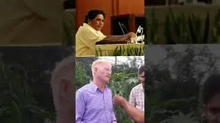 #bsp #mayawati #election2024 #politics #akashanand #new #ytshorts #education#trending