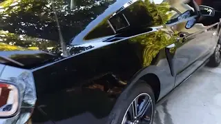 MMD Pre-Painted Eleanor Louvers - Black (05-14 All)