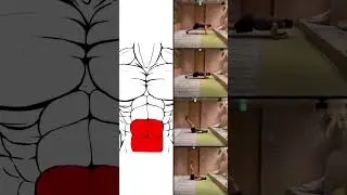 Lose Belly Fat in One Month with Basics!  #testosteroneboost #musclegrowth #bellyfatloss