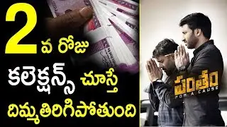 Gopichand PANTHAM Movie 2nd day Box Office Collections | #Gopichand25 | Mehreen | Tollywood Nagar