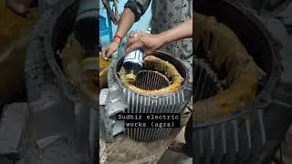 electric motor varnish