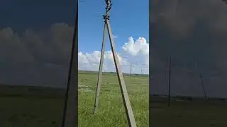 4 августа 2024 г.