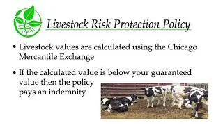 Dairy and Livestock Policies