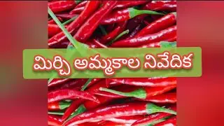 Guntur mirchi market rate today | 24-08-2024