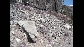Glacier National Park: Swiftcurrent Pass