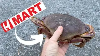 I Went to H-Mart