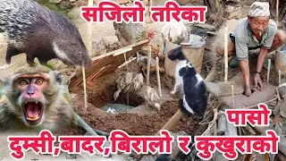 दुम्सी,बादर,बिरालो,कुखुरा, स्याल र खरायो इत्यादि को लागि पासो बनाउने सजिलो तरिका हेर्नू होला ।