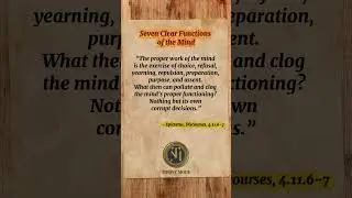 &ldquo;Your Mind Is Your Responsibility.&rdquo; 🎥 #Motivation #Stoicism #Epictetus #Mindset #discipline