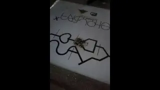 we are the first =D