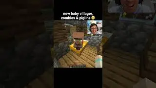 Minecraft Baby Mobs Moment