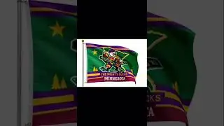 Ducks Fly Together&rsquo; &mdash; A Mighty Ducks&ndash;Inspired Minnesota State Flag