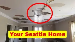 5 Common Causes Of Water Damage In Seattle Homes