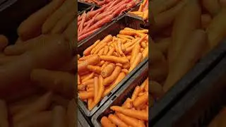 FRESH MART #shorts #vegetables #fruits #video