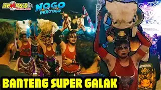 MBEROTTTTT❗BANTENG SURO NOGO PERTOLO SUPER GALAK - LIVE PLUNTURAN PULUNG PONOROGO