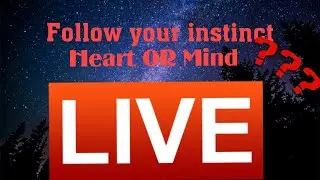 Follow your Instinct and be responsible of the consequences