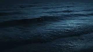 Gentle Ocean Waves for Sleep | 1 Hour Calm Sea Ambience