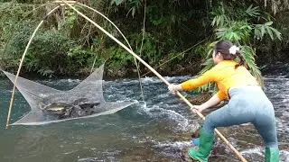 Young Girl's Fishing on River, Ancient Fishing Method With Trawl Nets, Catch a Lot Of Fish