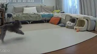 똘이 불쌍하쥬~~