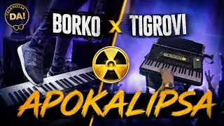 Borko Radivojevic x Tigrovi - APOKALIPSA