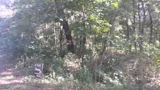 OffGrid Jeep's New Land