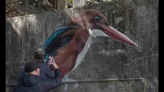 Bird murals appear on abandoned village houses in Hong Kong