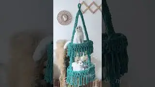 Whisker Wonderland: Cat Hammock Bliss