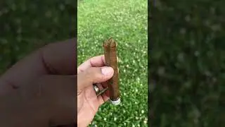Cigar of the Day 🥎🔥 - Mobile Cigar lounge and Arcade - Hand Rolled Dominican cigar #cigarcade