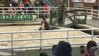 Gator Wrestling Show - Gatorland, Orlando, Florida 2018