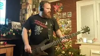 Aerosmith - Flesh Bass cover