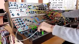 Buchla Bongos