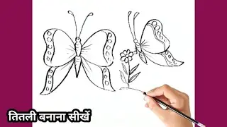 Butterfly Drawing for beginners | Pencil Drawing | तितली का चित्र बनाना सीखें #butterfly 