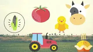 ¿Qué es 4-H?