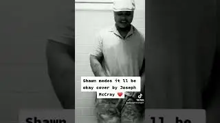 shawn it ll