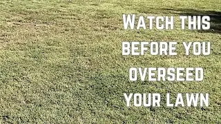 Over-seed or Restart YOUR Lawn!