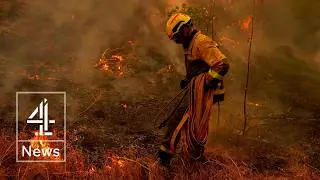 Europe wildfires: Flames just kilometers from Bordeaux