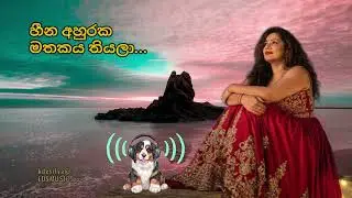 ✴️ හීන අහුරක මතකය තියලා NEW RELEASE OF SINHALA ROMANTIC SONG 2025 