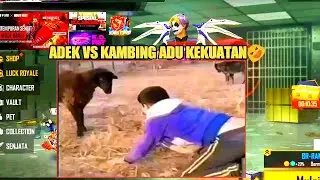 ADEK VS GOATS FIGHT TO STRENGTH 🔥🤣