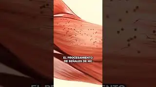 CONTROLAR dispositivos con MOVIMIENTOS MUSCULARES