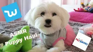 ASMR -  Unboxing Wish & Petsmart - Puppy Haul