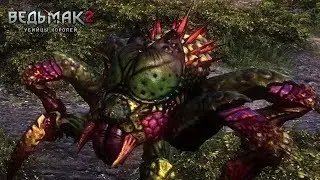 The Witcher 2. Контракт на эндриаг